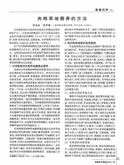 肉鸭旱地圈养的方法