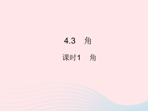 2022七年级数学上册第四章几何图形初步4.3角课时1角作业课件新版新人教版20221201434