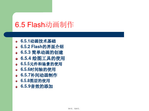 11-第六章-多媒体技术基础与应用(2)(FLASH8)(21-Slides)