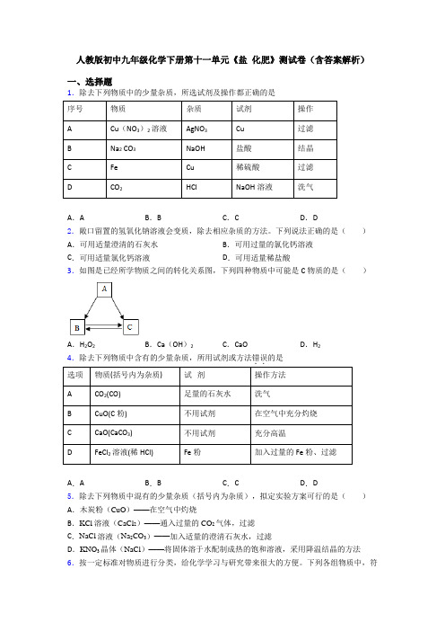 人教版初中九年级化学下册第十一单元《盐 化肥》测试卷(含答案解析)