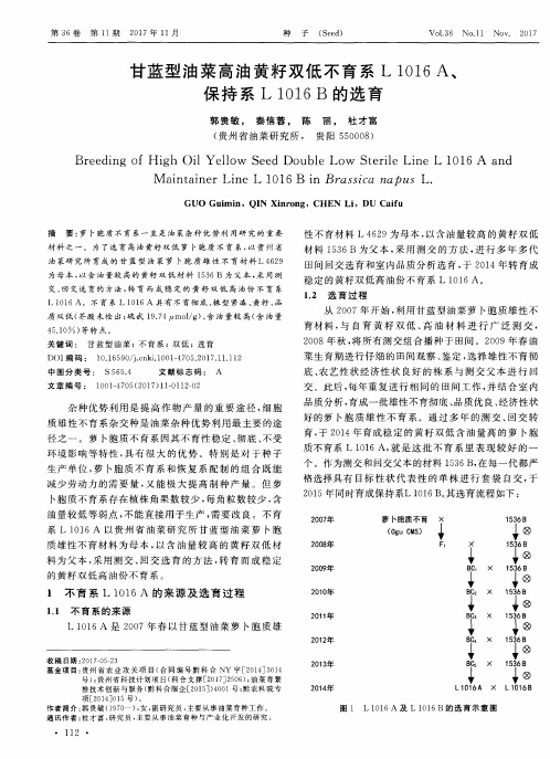 甘蓝型油菜高油黄籽双低不育系L 1016A、保持系L 1016B的选育