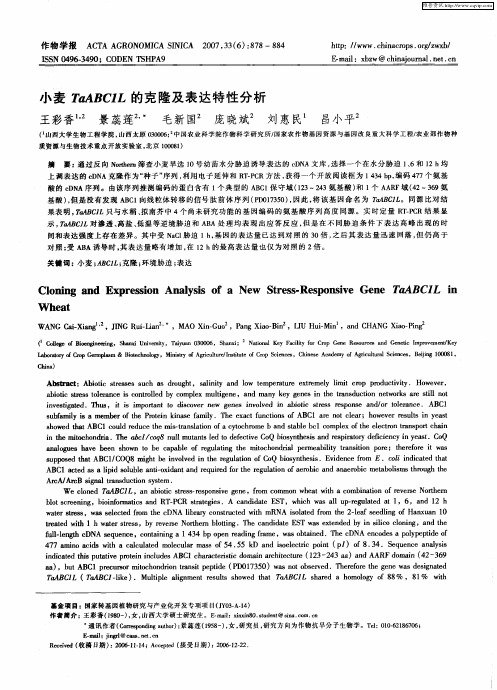 小麦TaABC1L的克隆及表达特性分析