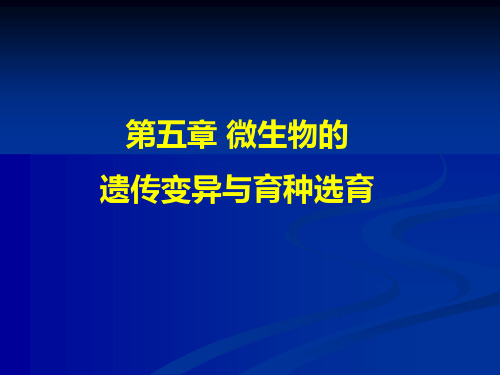 食品微生物 第五章 微生物的遗传变异与育种选育