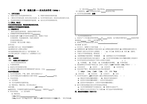 光合作用导学案