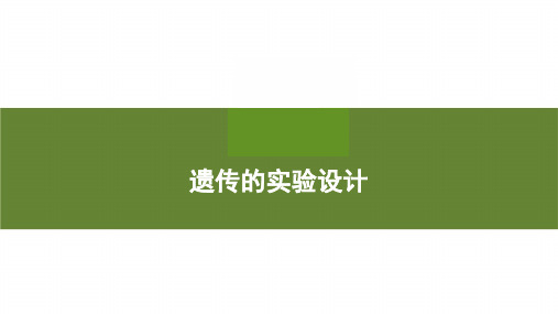 人教版高一必刷题：遗传的实验设计