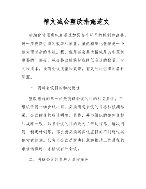 精文减会整改措施范文