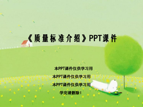 《质量标准介绍》PPT课件