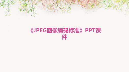 《JPEG图像编码标准》课件