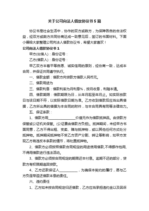 关于公司向法人借款协议书5篇