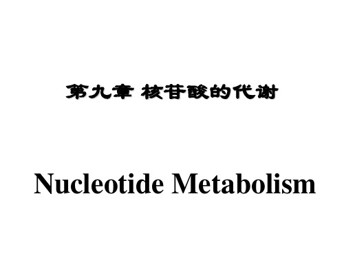 第九章核苷酸的代谢NucleotideMetabolism