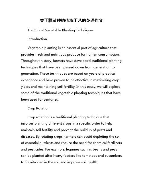 关于蔬菜种植传统工艺的英语作文