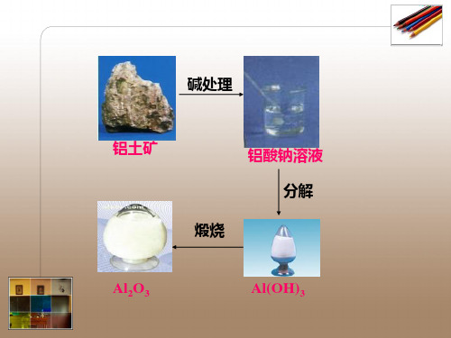 医学专题拜耳法的原理和基本流程