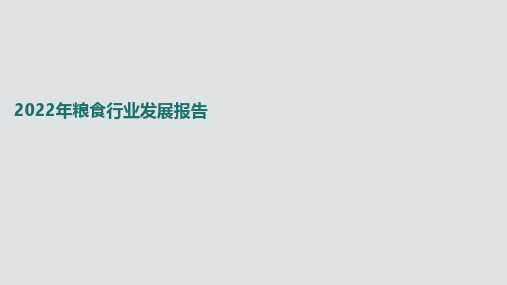 2022年粮食行业发展报告