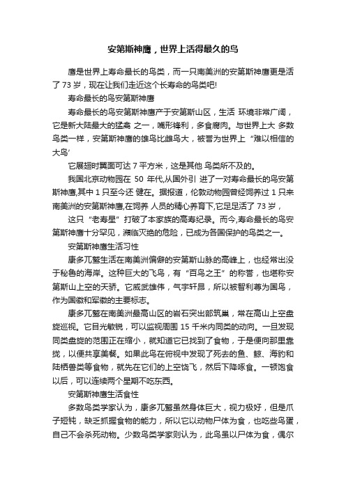 安第斯神鹰，世界上活得最久的鸟