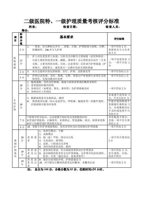 二级医院特一级护理质量考核评分标准