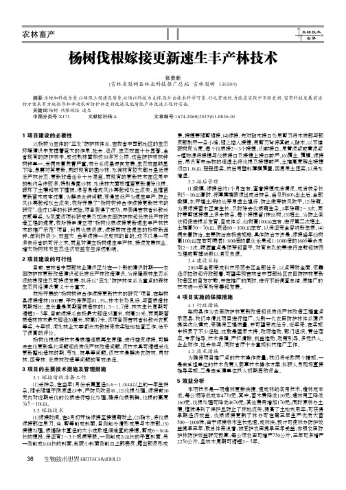 杨树伐根嫁接更新速生丰产林技术