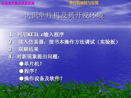 认识单片机及其开发环境