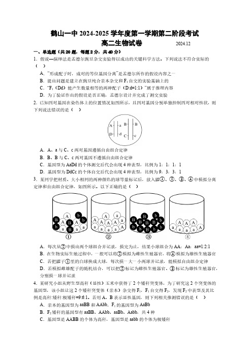 广东省江门市鹤山市第一中学2024-2025学年高二上学期12月月考生物学试题(含答案)