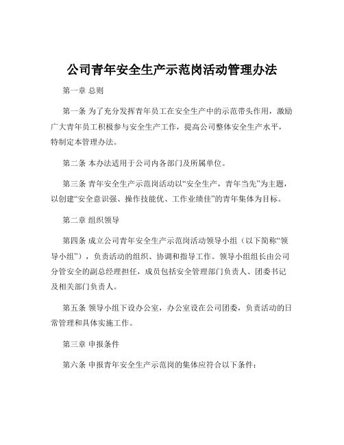 公司青年安全生产示范岗活动管理办法