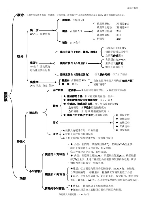 【免费】细胞生物学精华笔记—细胞膜及跨膜运输