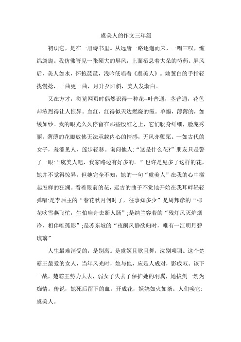 虞美人的作文三年级