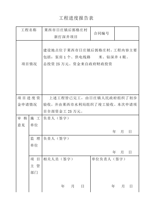 工程进度报告表