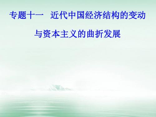 18学年高考历史一轮复习专题十一近代中国经济结构和变动与资本主义的曲折发展考点1晚清中国经济结构的变