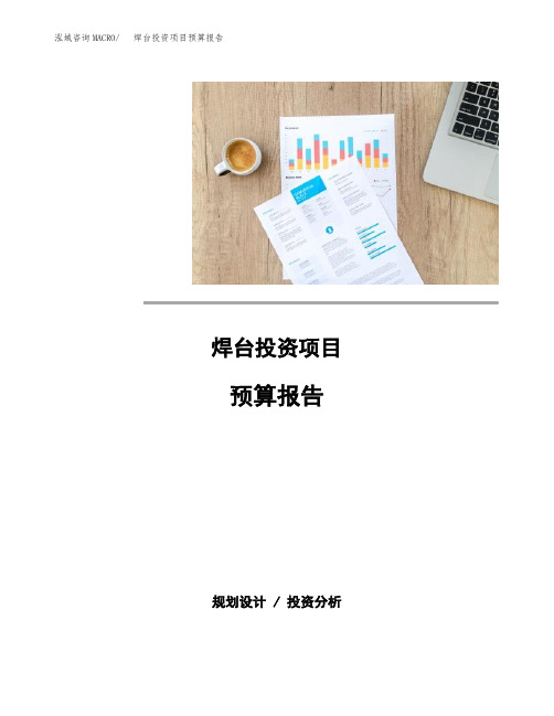 焊台投资项目预算报告