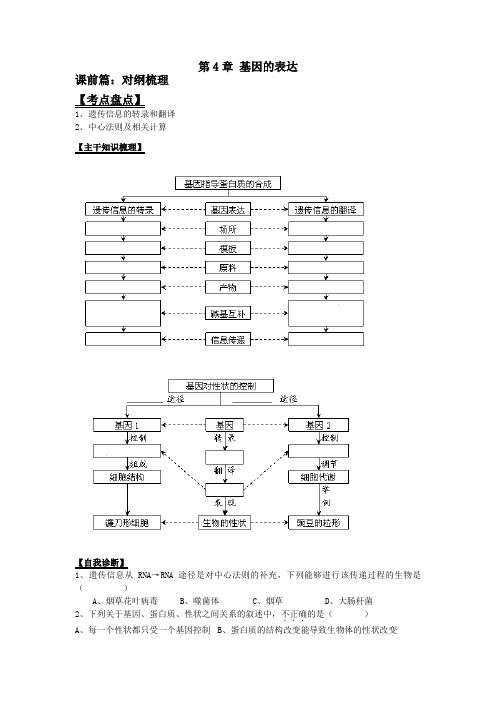 基因表达一轮复习学案