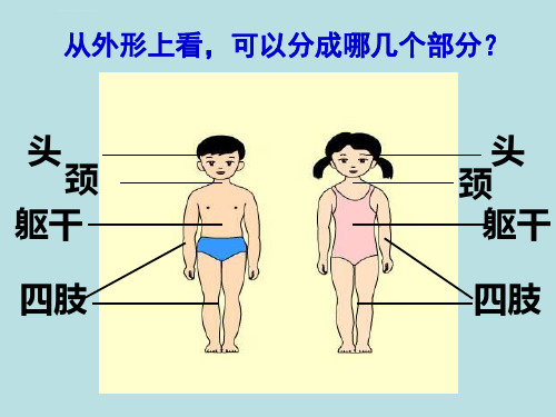 小学心理健康教育-我们的器官教学课件设计ppt