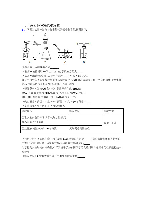 精选中考化学易错题专题复习探究题附详细答案