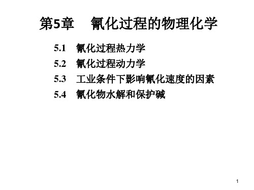 氰化过程的物理化学