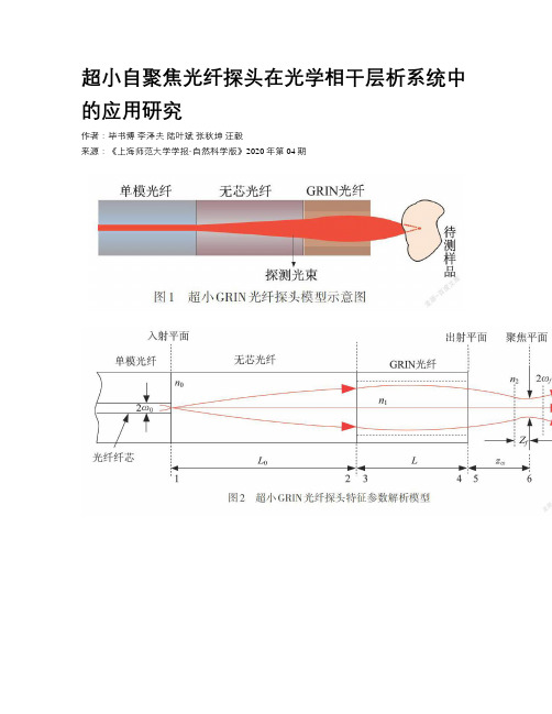 超小自聚焦光纤探头在光学相干层析系统中的应用研究