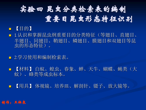 实验四 昆虫分类检索表及主要