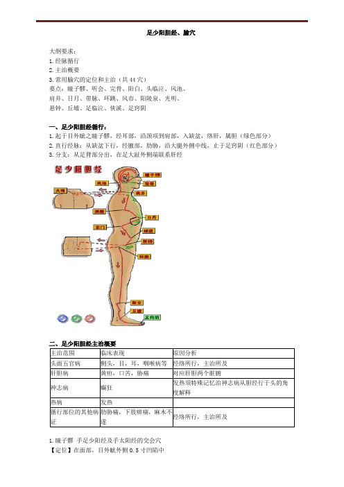 足少阳胆经、腧穴