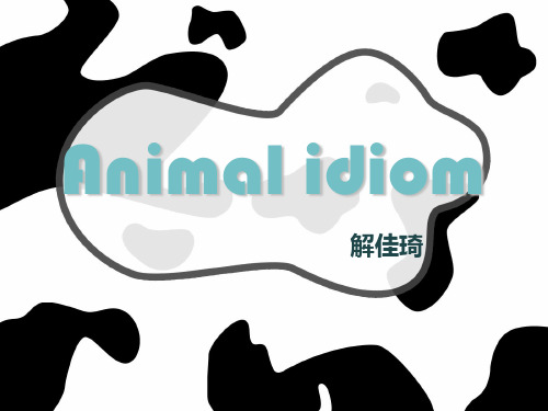 idioms 俚语 习语