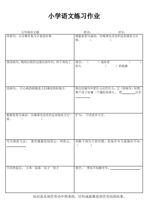 小学五年级语文练习作业42