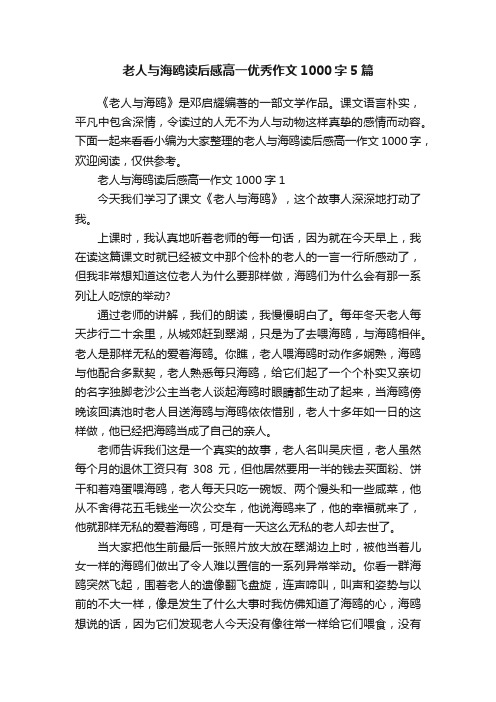 老人与海鸥读后感高一优秀作文1000字5篇