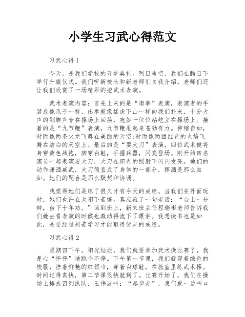 小学生习武心得范文