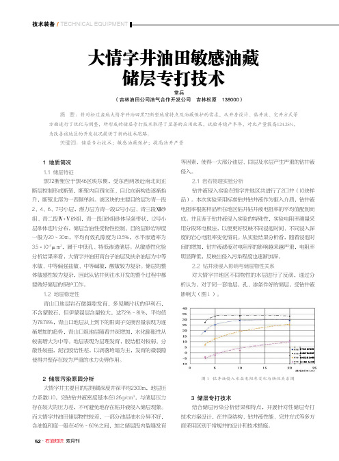 大情字井油田敏感油藏储层专打技术