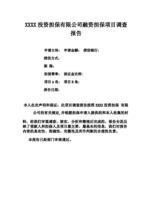 投资担保有限公司融资担保项目调查报告