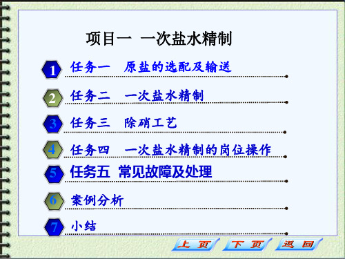 氯碱生产与操作(张艳君)项目一 一次盐水精制