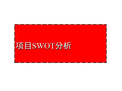 经典SWOT分析案例