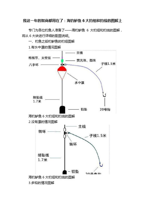 我这一年的智商都用在了：海钓鲈鱼6大钓组和钓线的图解上