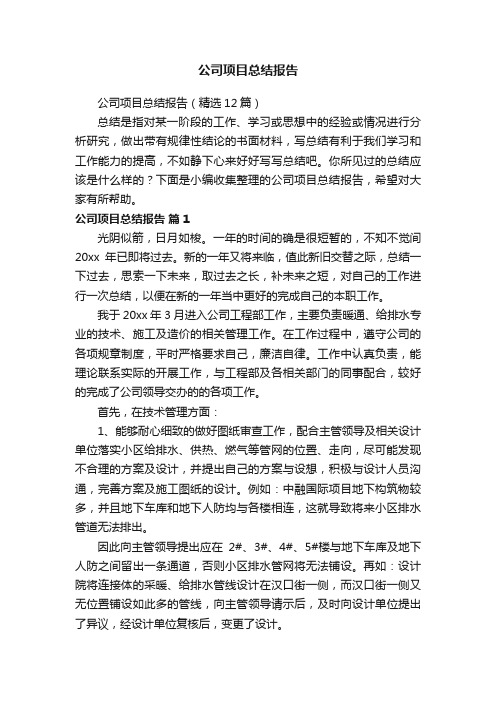 公司项目总结报告（精选12篇）