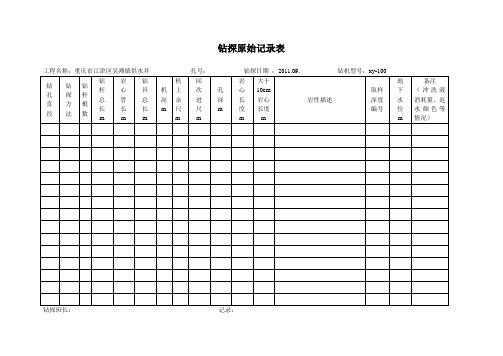 钻探原始记录表20