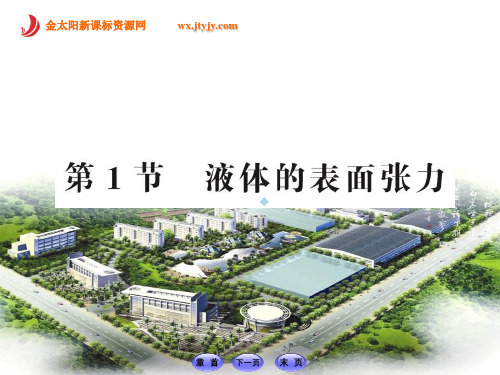 液体的表面张力ppt课件鲁科版选修33