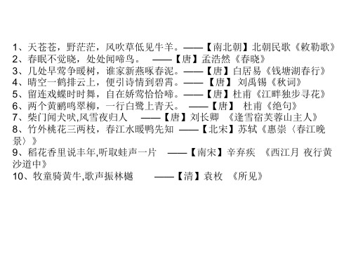 《老人与海鸥》课件