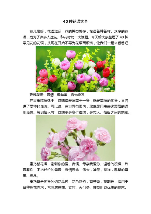 40种花语大全