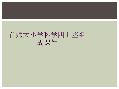 首师大小学科学四上茎组成课件